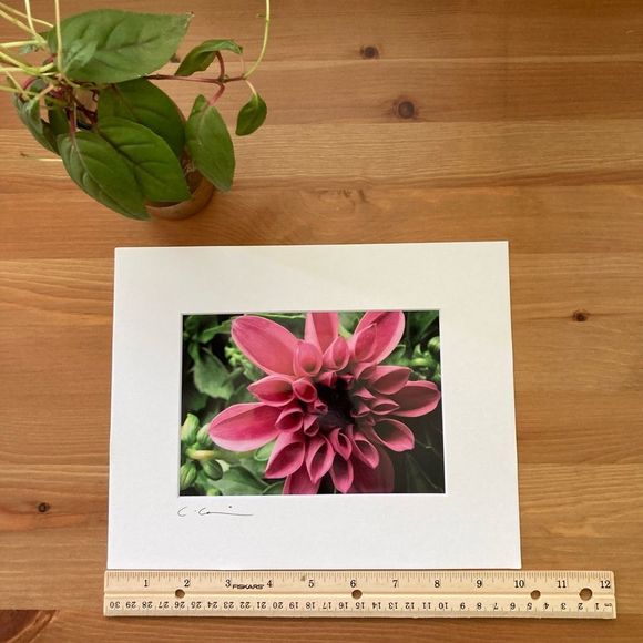 New Original Signed Photography - Picture 5 of 5